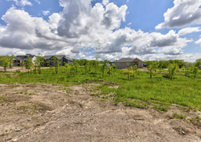 Newly planted trees in a developing urban neighborhood under a cloudy blue sky.